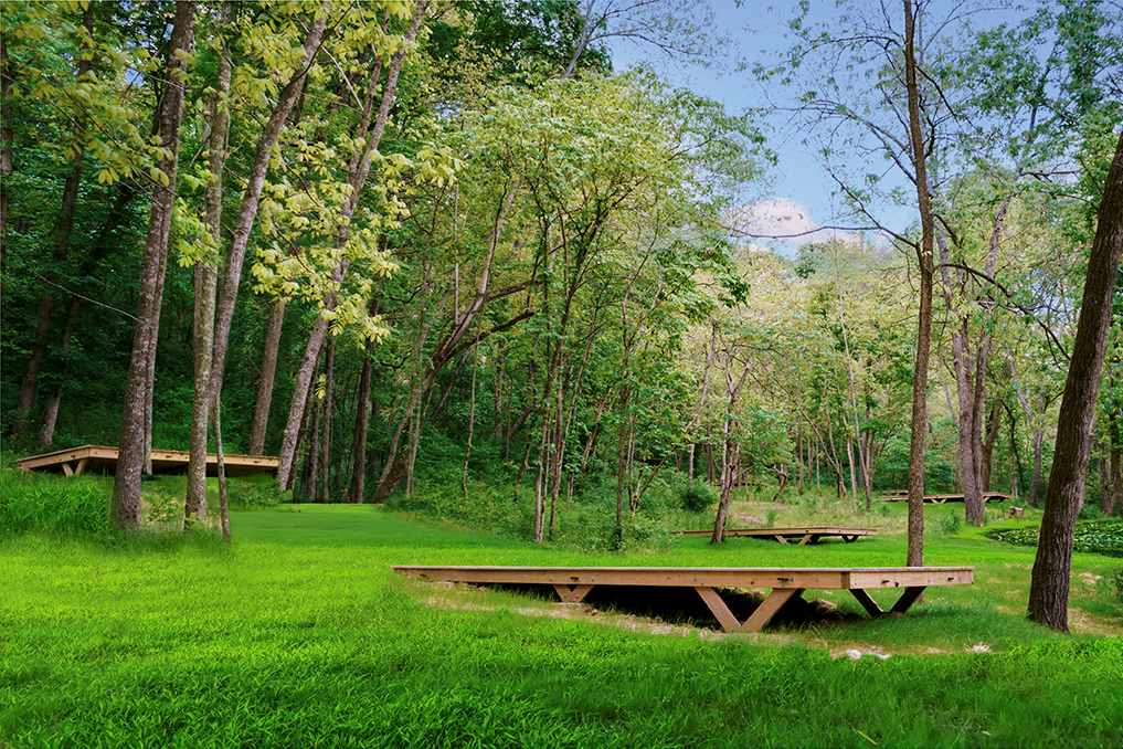 Camper submitted image from The Campground at Coler - 3