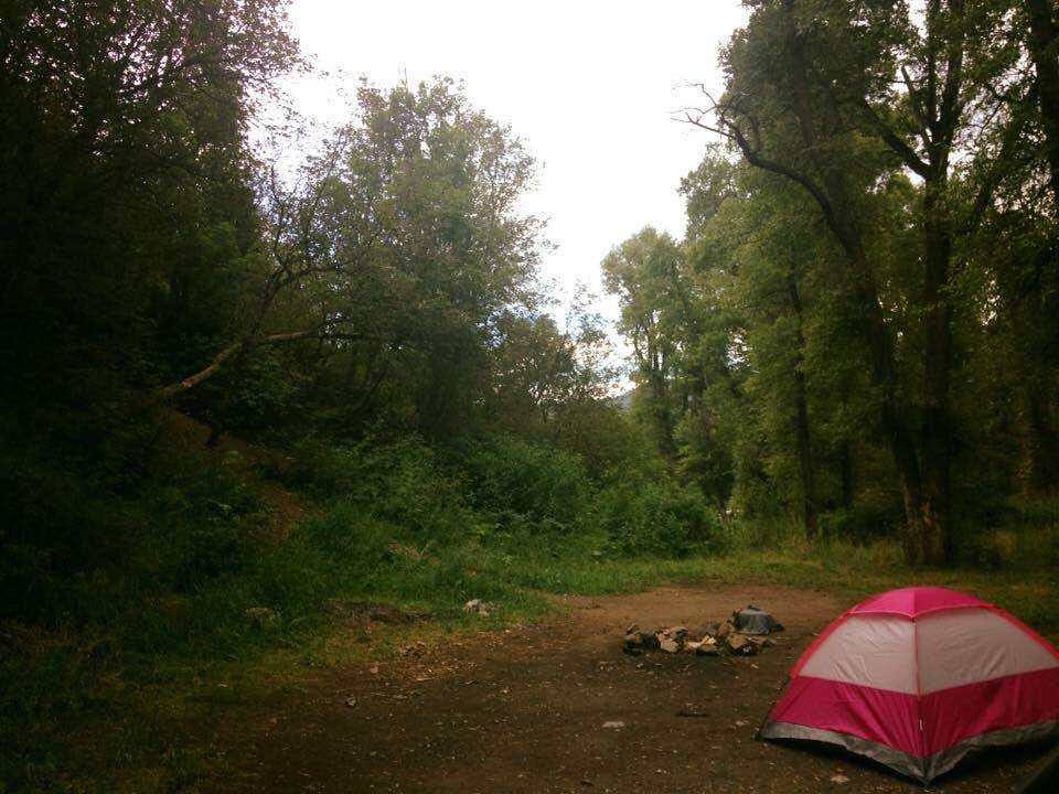 Camper submitted image from Timpooneke - 3