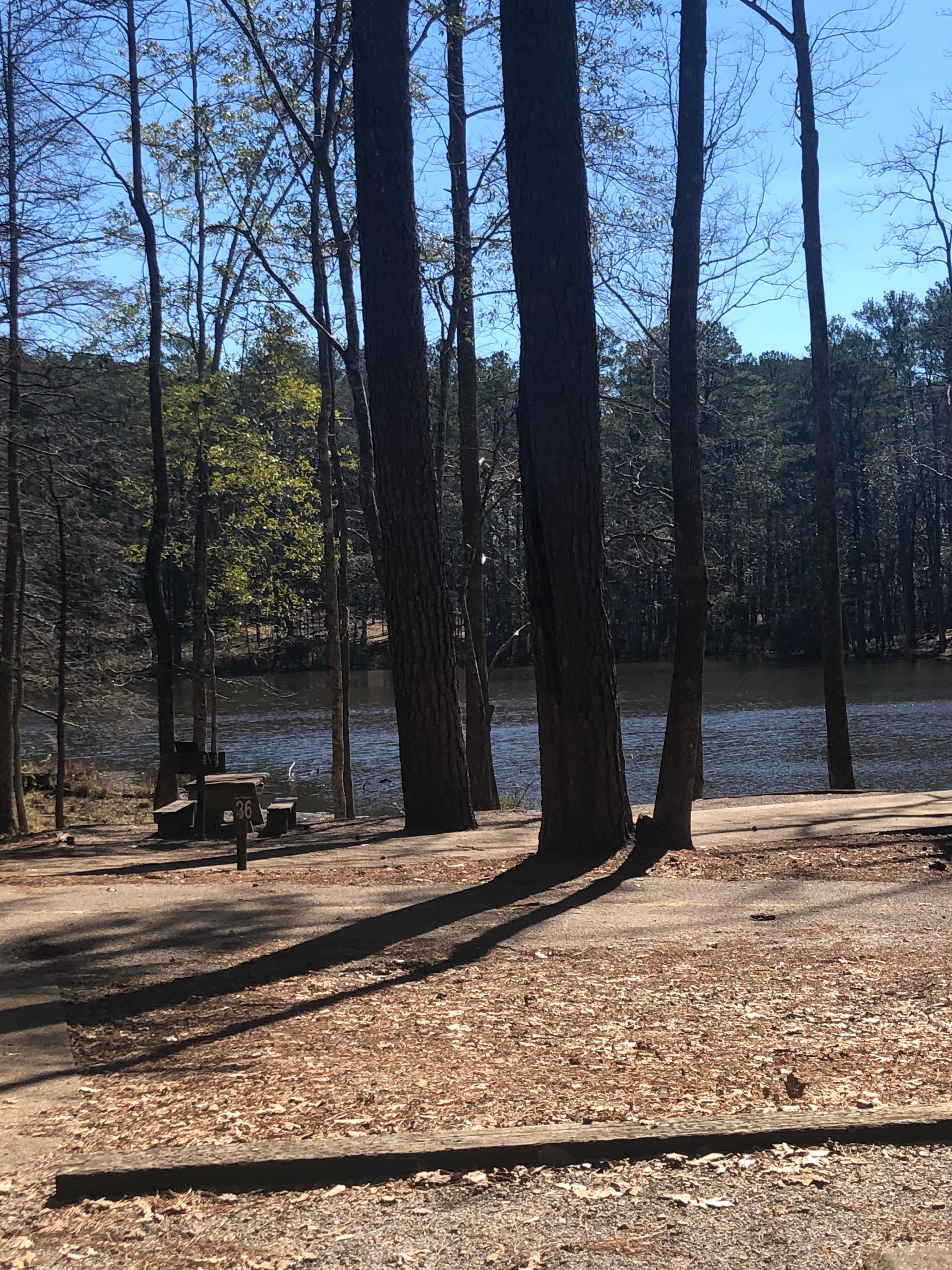 Camper submitted image from Clarkco State Park Campground - 4
