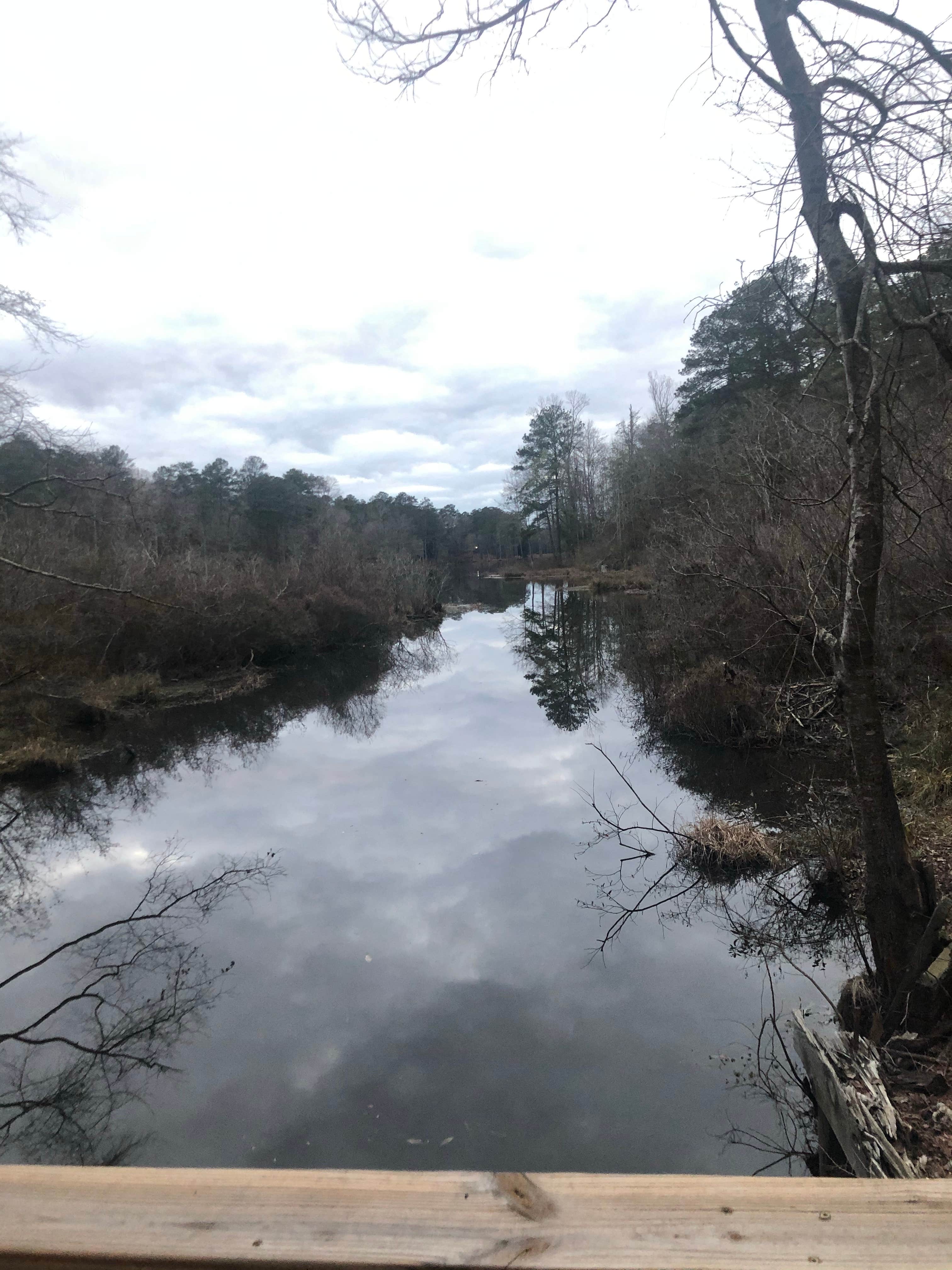 Camper submitted image from Clarkco State Park Campground - 1