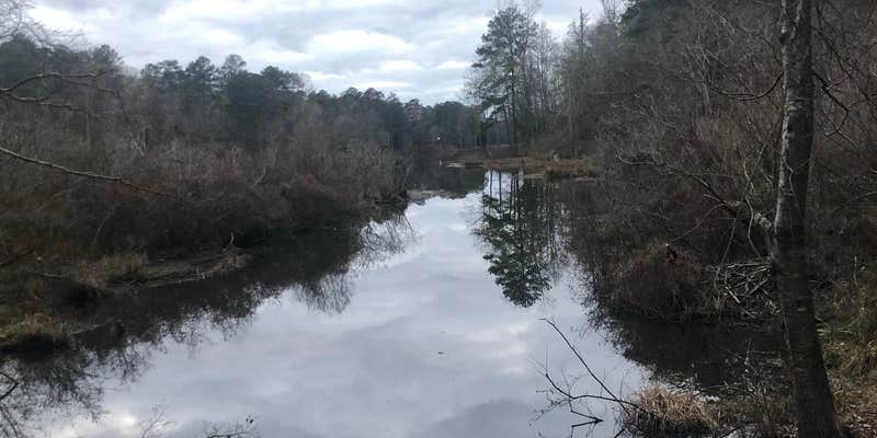 Camper submitted image from Clarkco State Park Campground