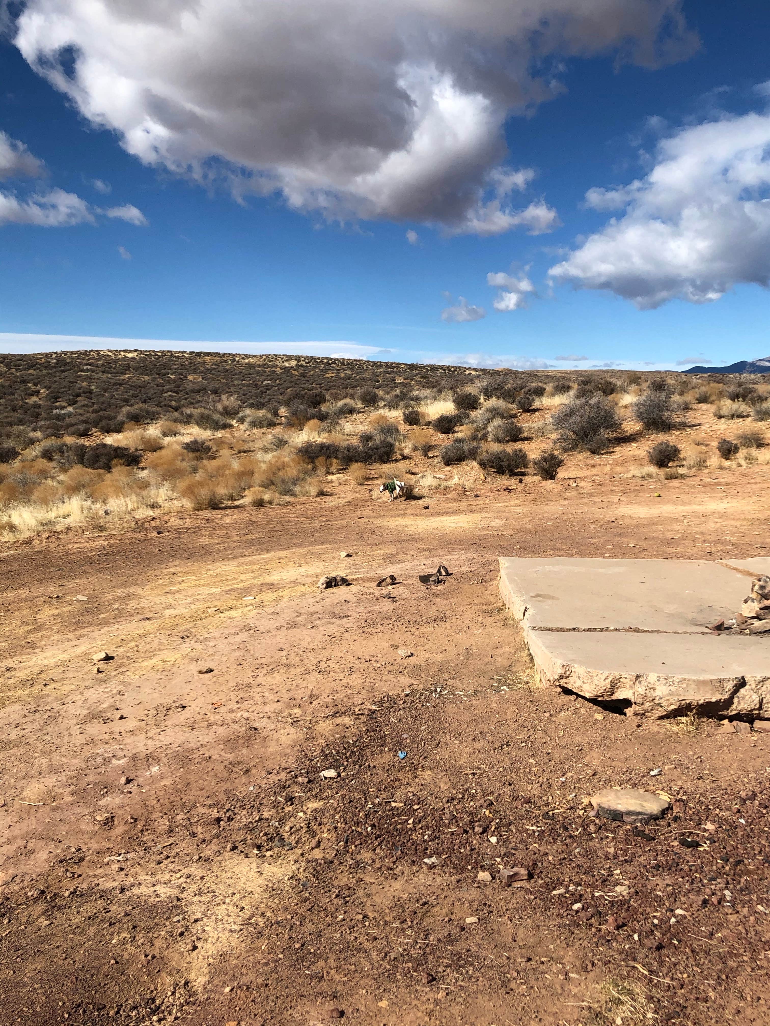 Camper-submitted photo at Sheep Bridge BLM Area (Hurricane Cliffs Trail System) - Utah near Rockville, UT