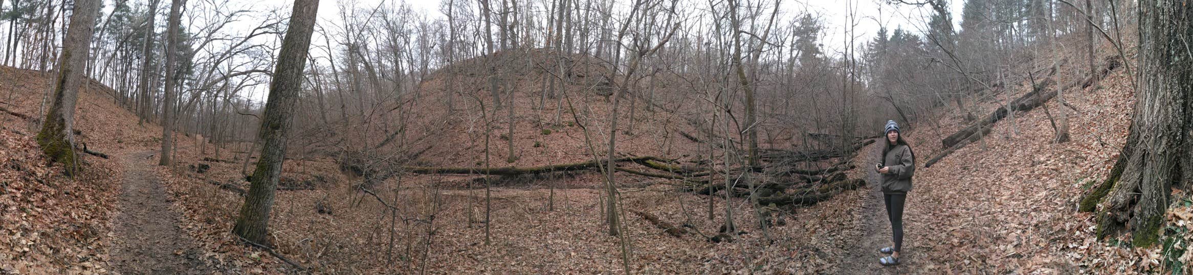 Camper-submitted photo at Wildcat Den State Park Campground near Mississippi River - Pools 11-22