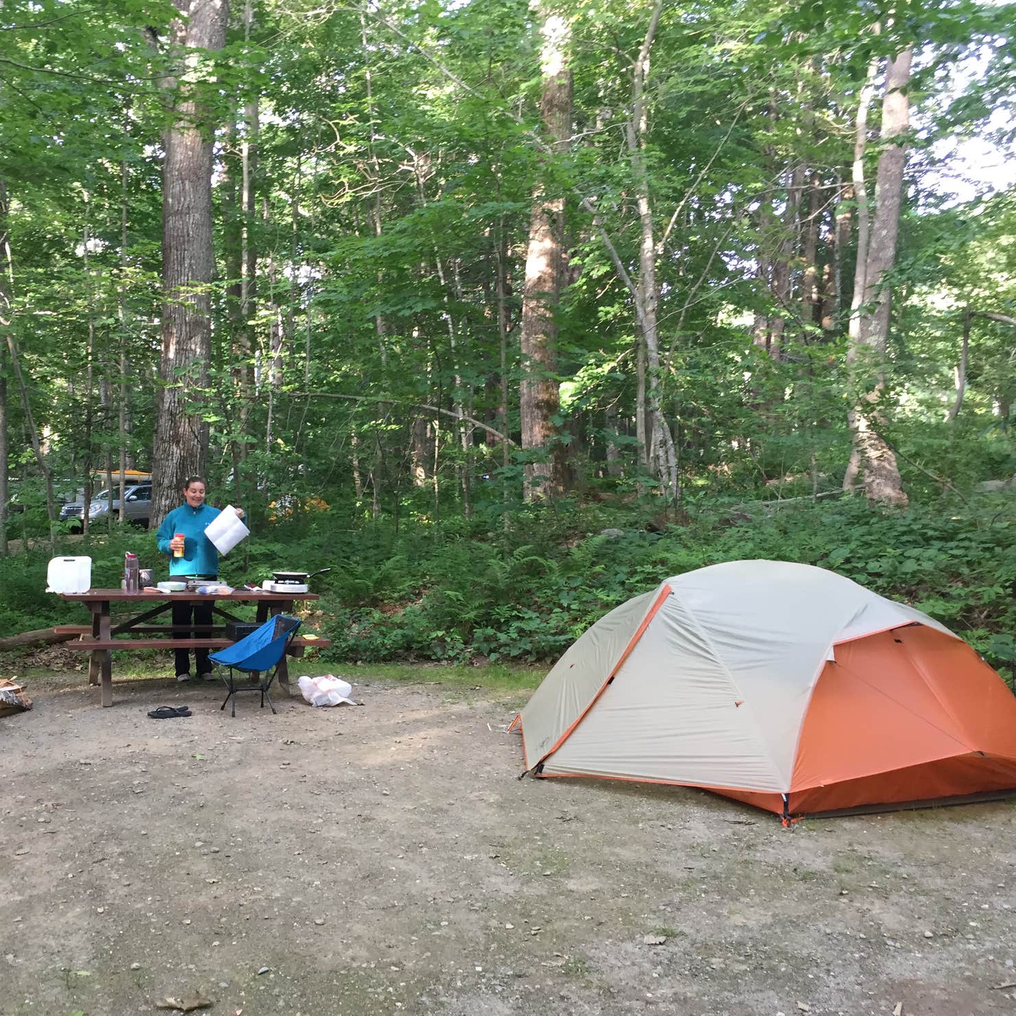 Camden Hills State Park Camping | The Dyrt