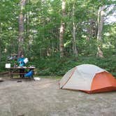 Review photo of Camden Hills State Park Campground by Jacki B., May 29, 2018