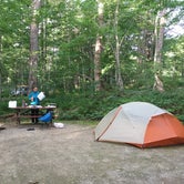 Review photo of Camden Hills State Park Campground by Jacki B., May 29, 2018