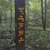 Review photo of Fire Tower Cabin — Yellow River State Forest by James M., February 23, 2021