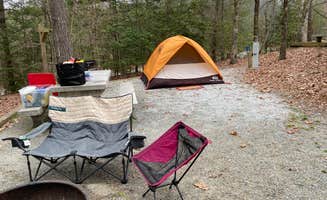 Kelly R.'s photo at Tallulah Gorge State Park Campground near Cornelia, GA