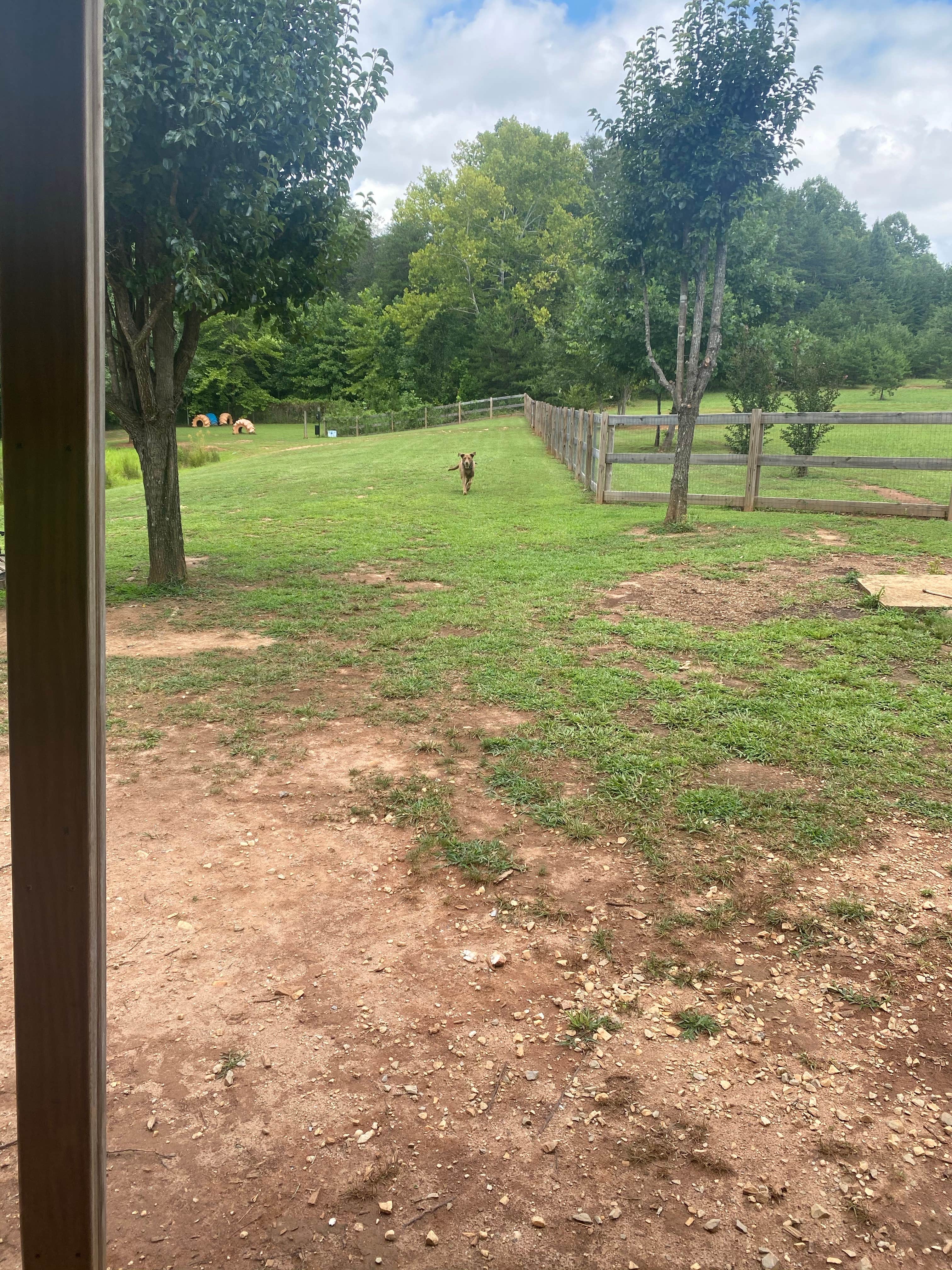 Camper-submitted photo at Four Paws Kingdom Campground & Dog Retreat near Landrum, SC