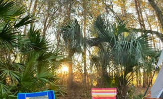 Doug S.'s photo at Hart Springs Park near Bell, FL