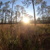 Review photo of Black Water River State Forest Primitive Camping by Gregg G., February 23, 2021