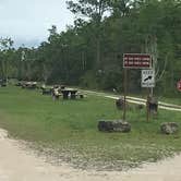 Review photo of Burns Lake Campground — Big Cypress National Preserve by Dave V., October 1, 2016