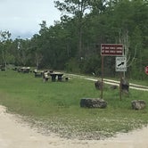 Review photo of Burns Lake Campground — Big Cypress National Preserve by Dave V., October 1, 2016