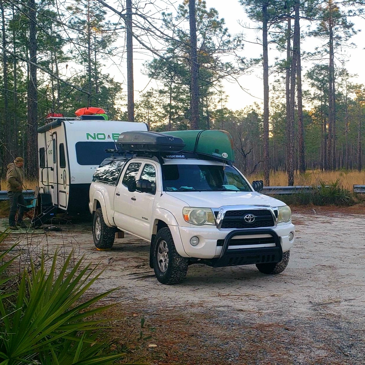 Camper submitted image from Black Water River State Forest Primitive Camping - 3