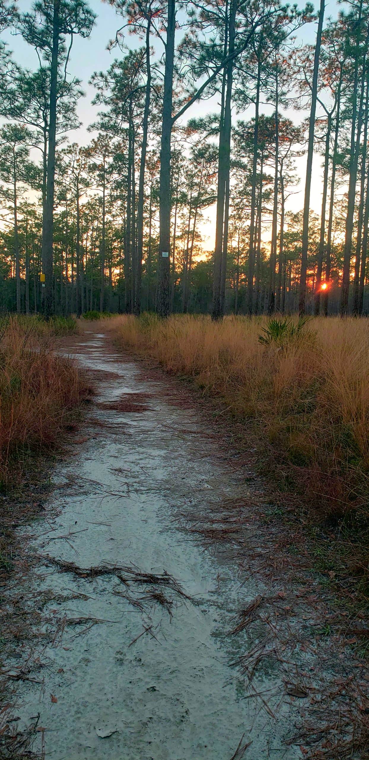Camper-submitted photo at Black Water River State Forest Primitive Camping near Milton, FL