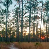 Review photo of Black Water River State Forest Primitive Camping by Gregg G., February 23, 2021