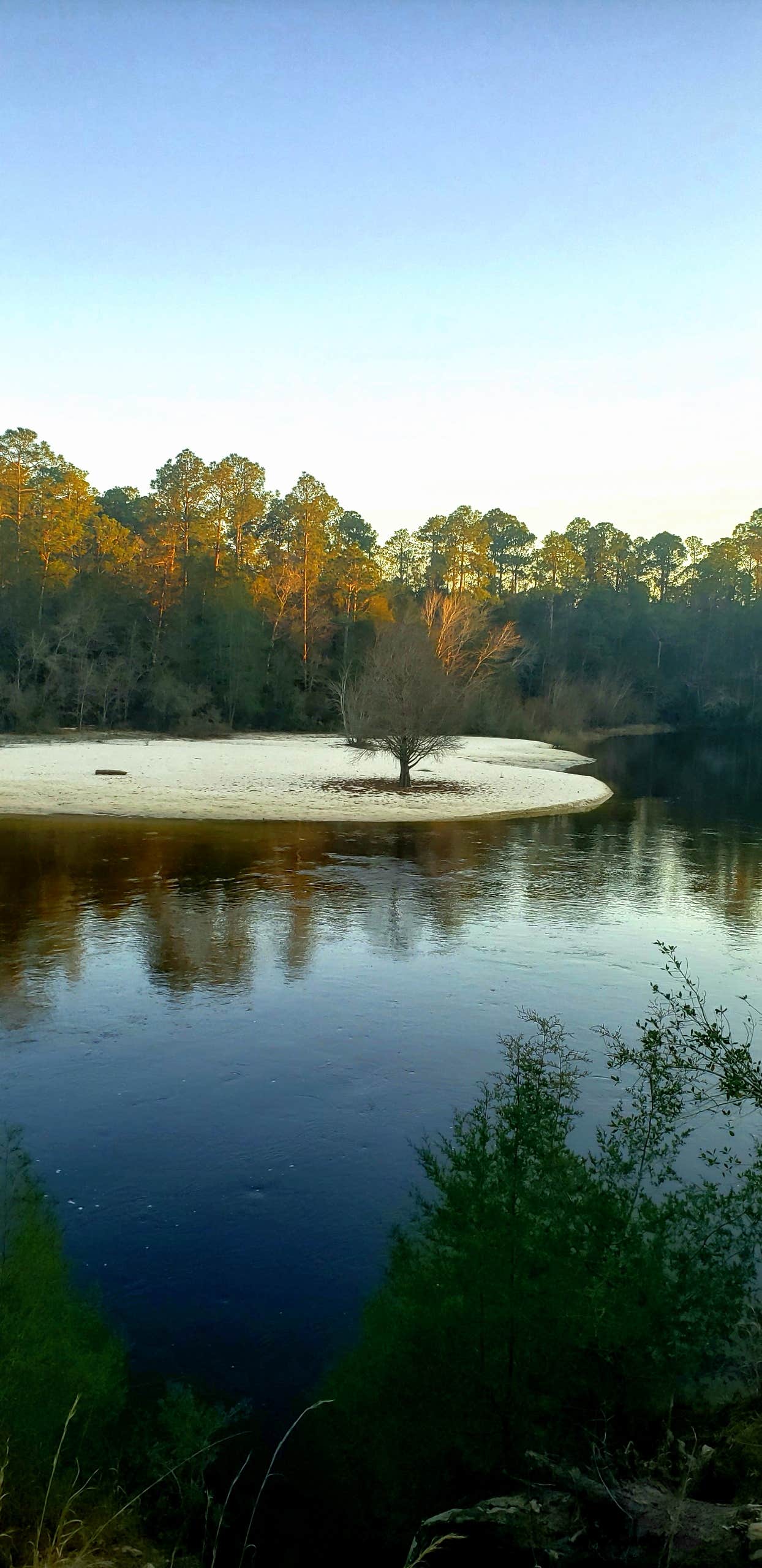 Camper-submitted photo at Black Water River State Forest Primitive Camping near Milton, FL