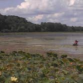 Review photo of Bulger's Hollow Recreation Area — Mississippi River Pools 11 22 by James M., August 29, 2018