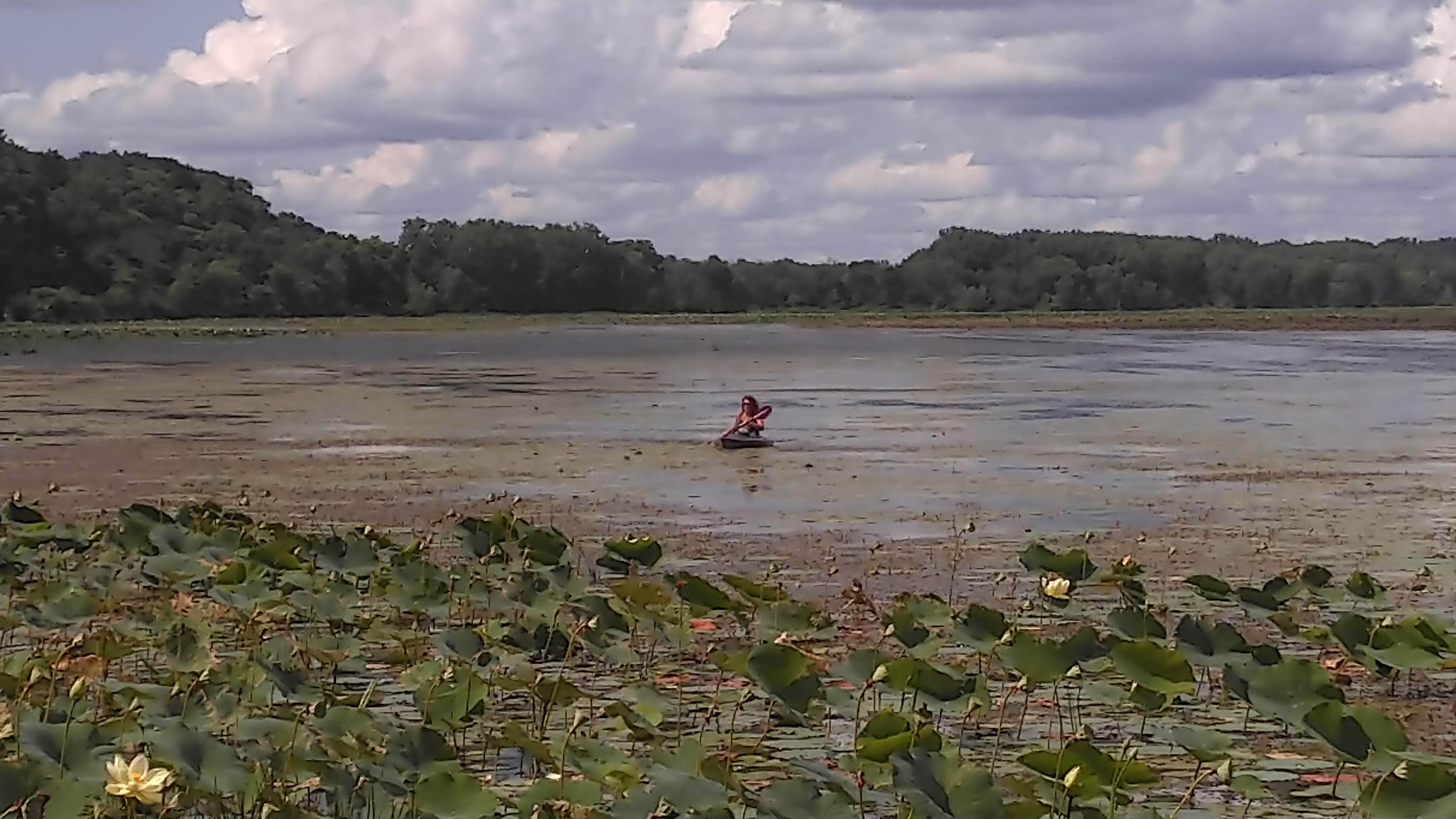 Camper submitted image from Bulger's Hollow Recreation Area — Mississippi River Pools 11 22 - 5