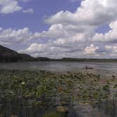 Review photo of Bulger's Hollow Recreation Area — Mississippi River Pools 11 22 by James M., August 29, 2018