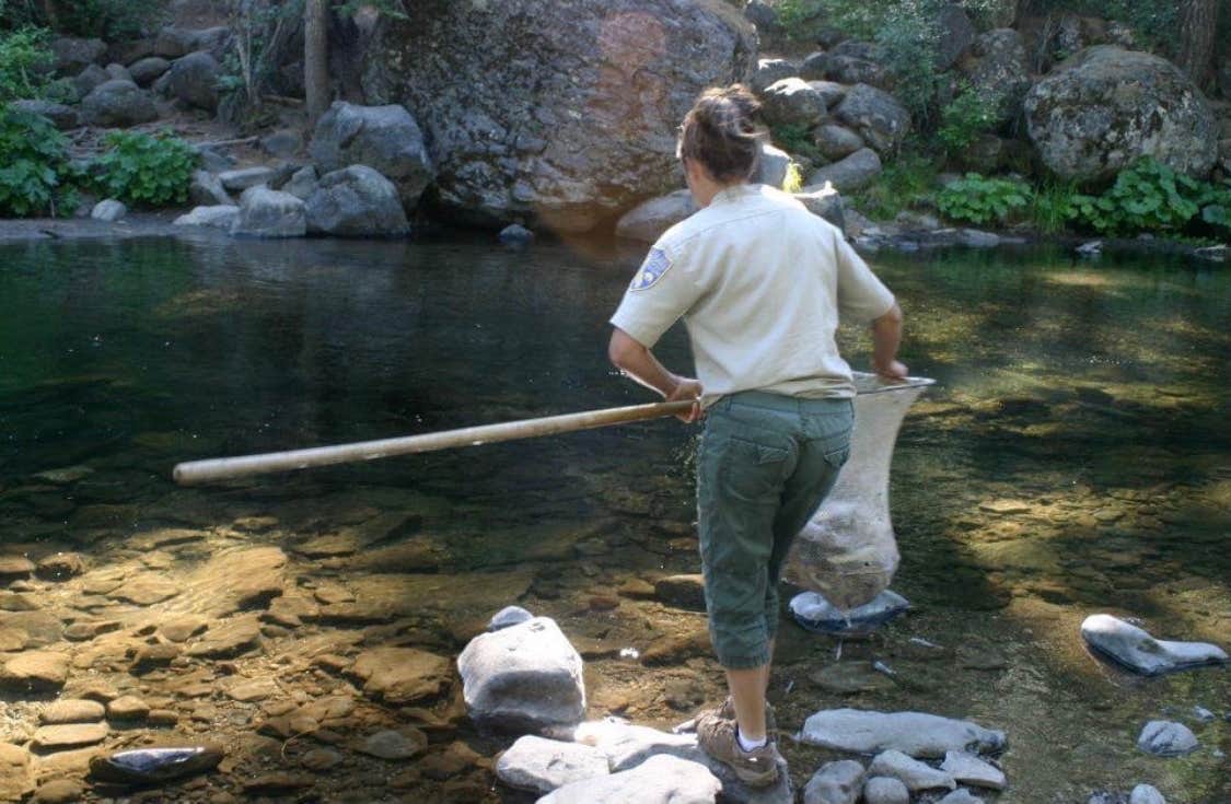 Camper-submitted photo at Elam Campground near Chester, CA