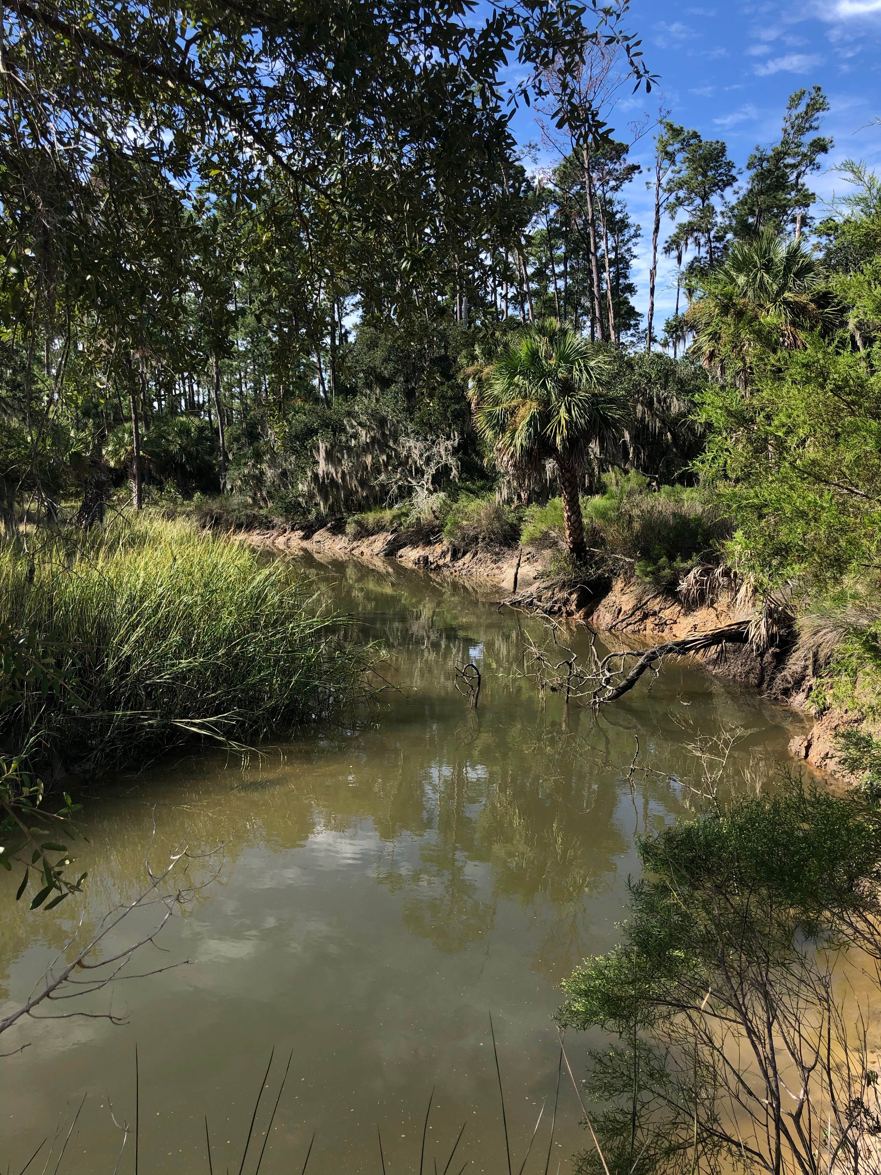Skidaway Island State Park Campground