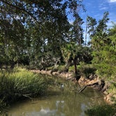Review photo of Skidaway Island State Park Campground by Savannah C., July 27, 2017