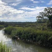 Review photo of Skidaway Island State Park Campground by Savannah C., July 27, 2017