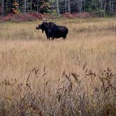 Review photo of Abol Campground — Aroostook State Park by Professor of Accounting G., February 23, 2021