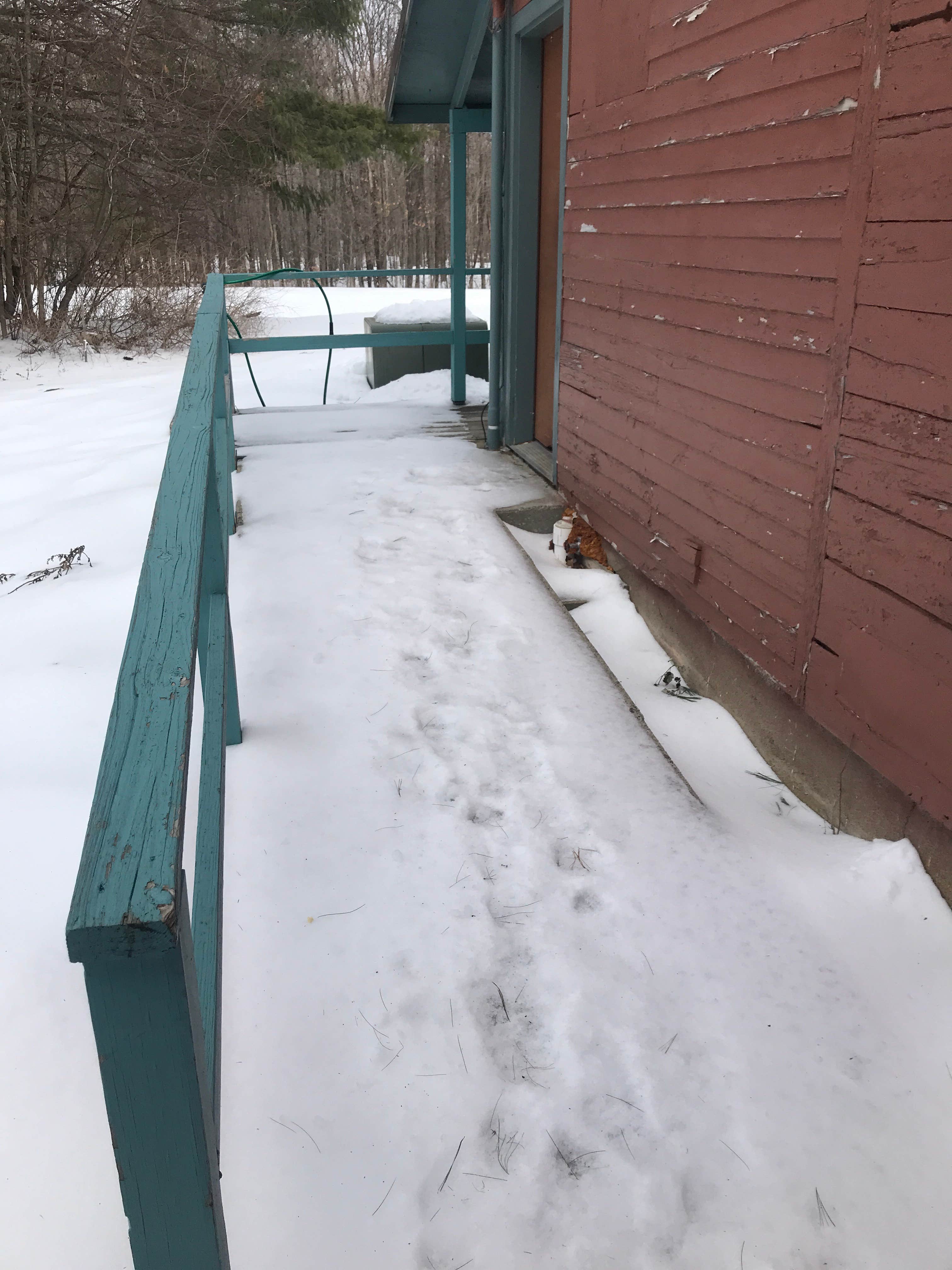 Camper-submitted photo at Branch Brook Campground near Ashland, NH