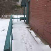 Review photo of Branch Brook Campground by Mara S., February 23, 2021