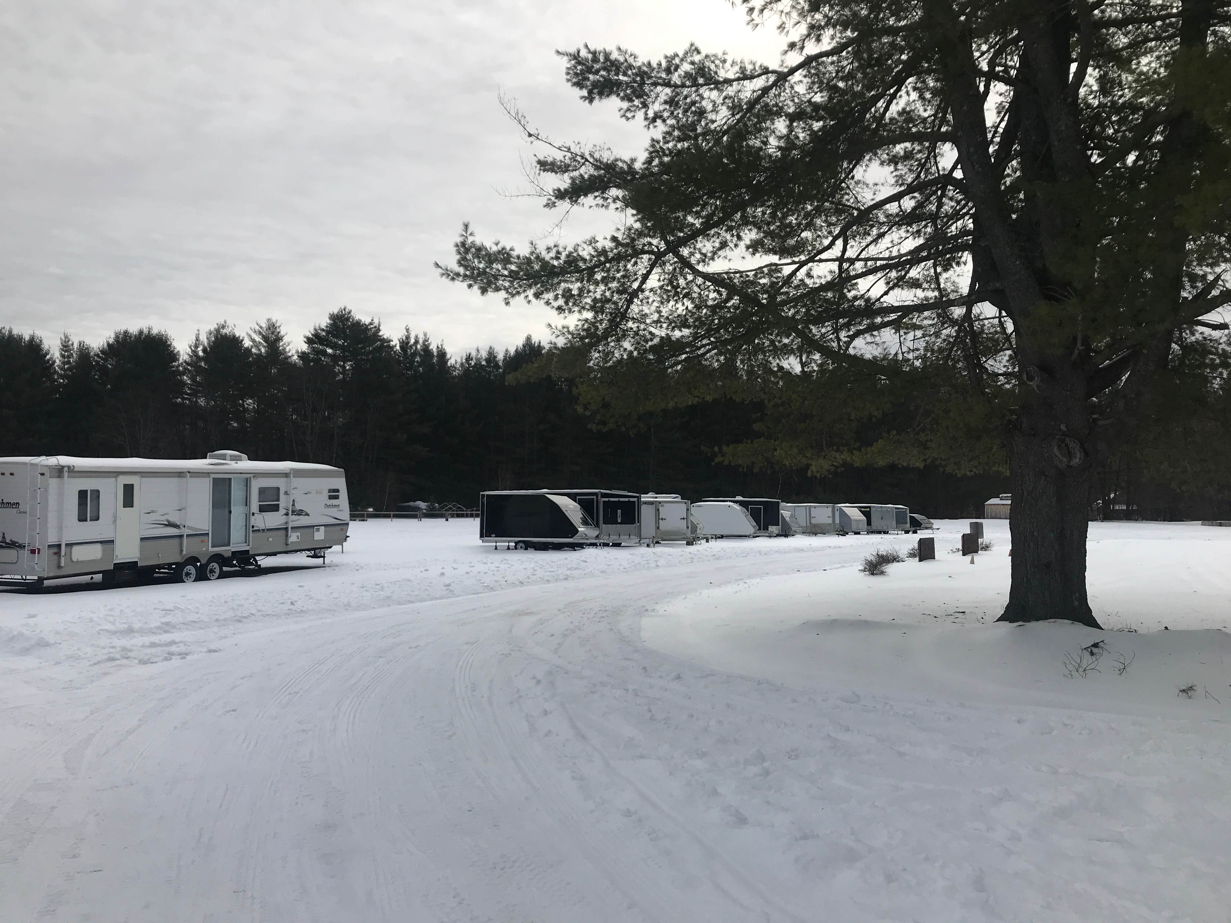 Camper submitted image from Branch Brook Campground - 1