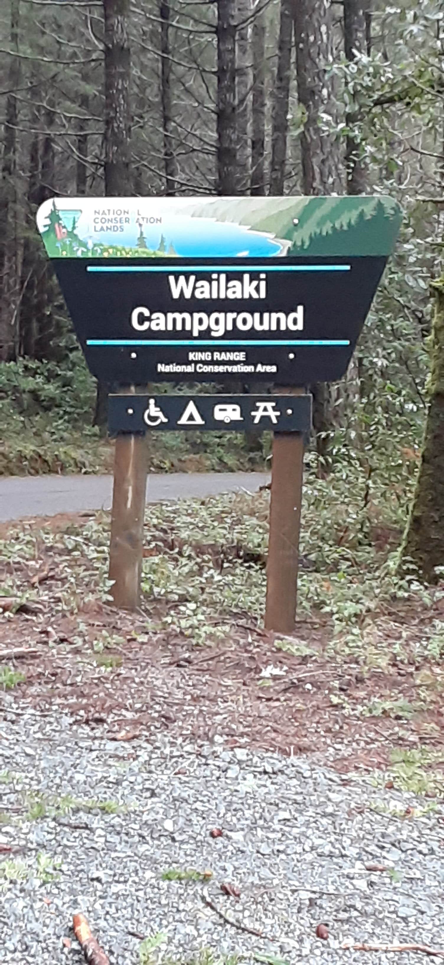 Camper submitted image from Wailaki Campground - 5