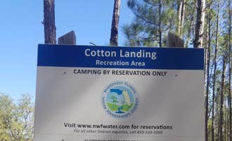 Camping near Blue Spring Recreation Area: Cotton Landing, Vernon, Florida