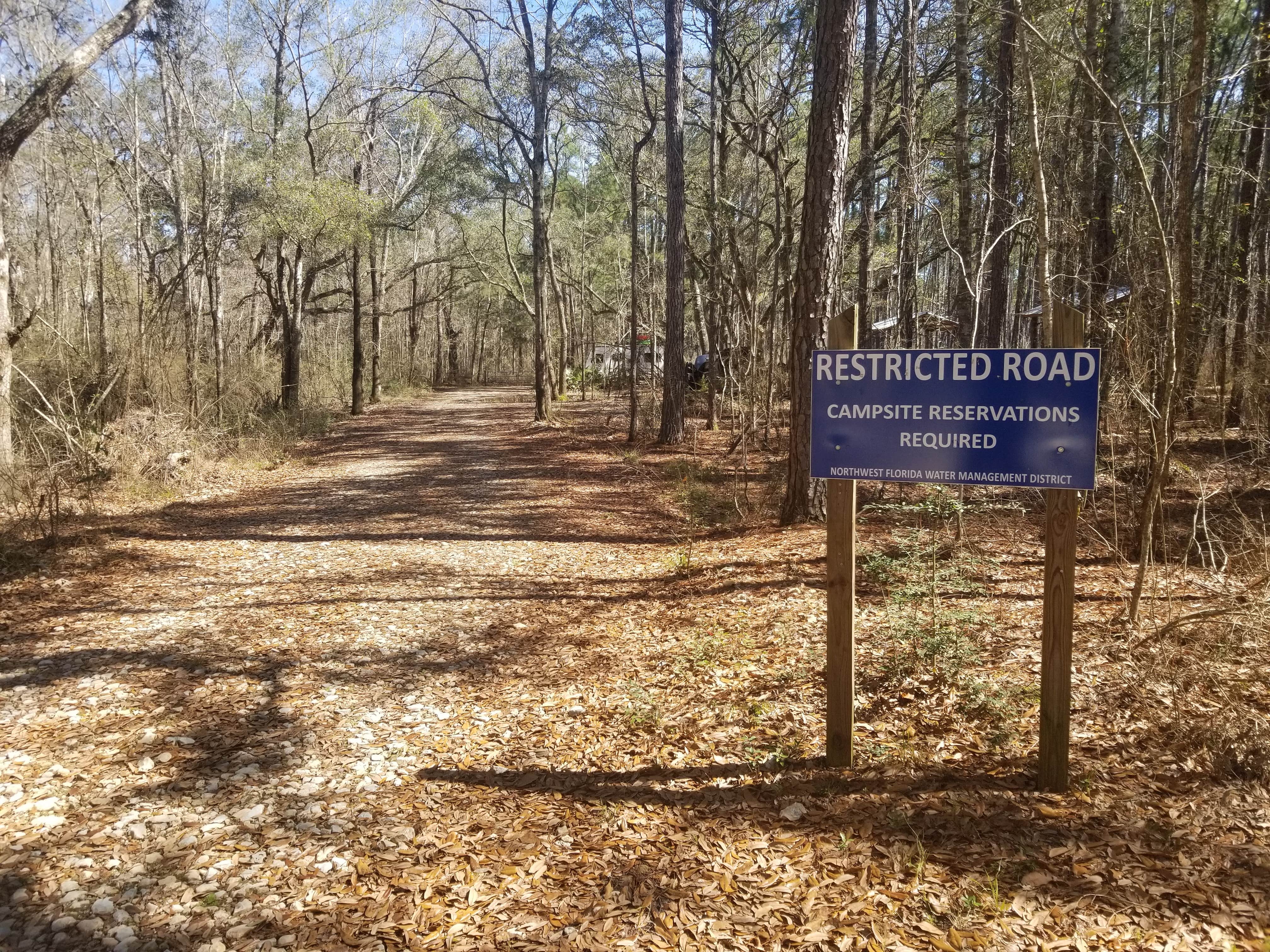 Camper submitted image from Cotton Landing - 5