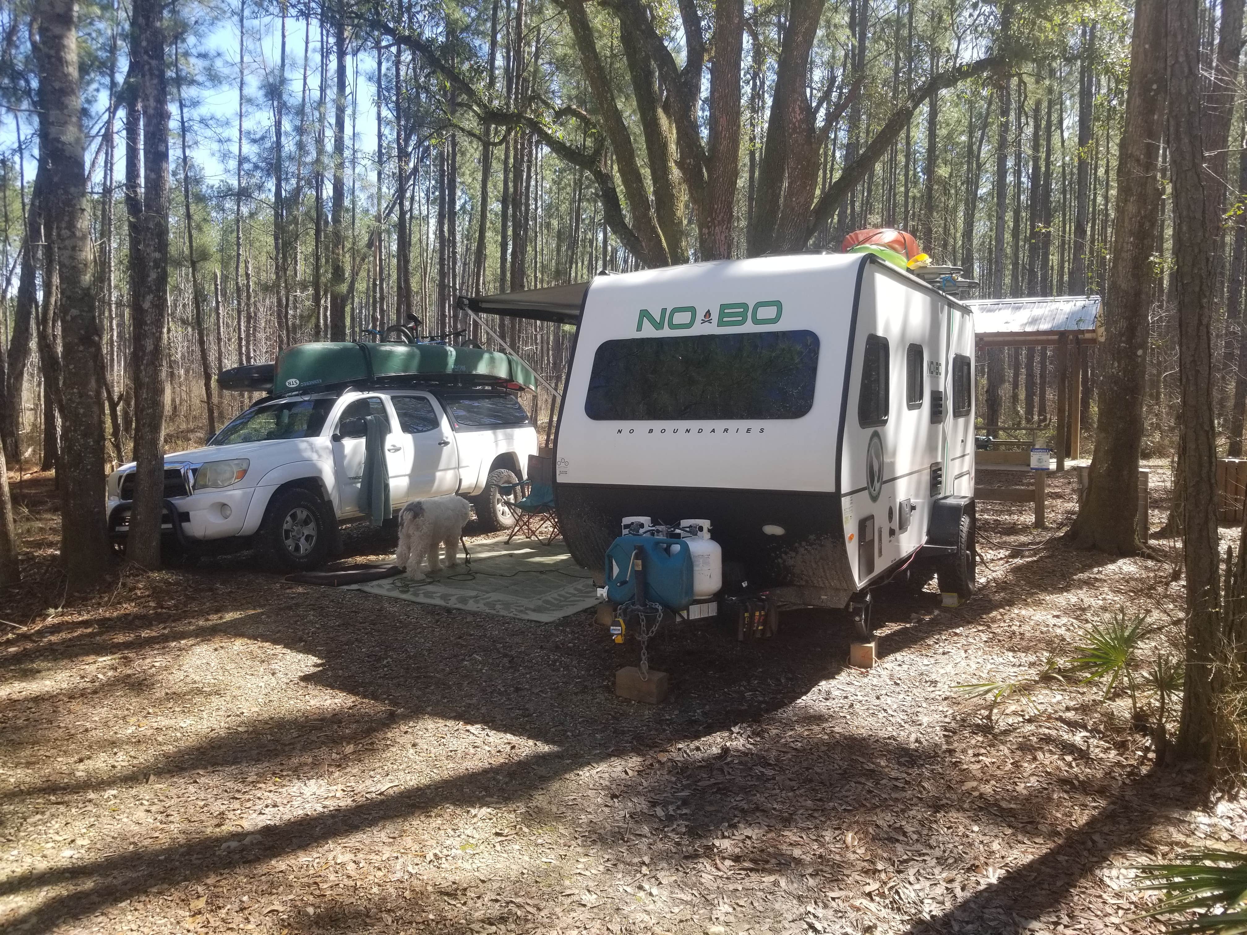 Camper submitted image from Cotton Landing - 5