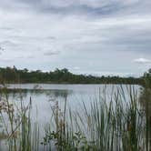 Review photo of Burns Lake Campground — Big Cypress National Preserve by Dave V., October 1, 2016