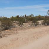 Review photo of Gunsight Wash BLM Dispersed camping area by Larry B., February 23, 2021