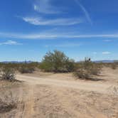 Review photo of Gunsight Wash BLM Dispersed camping area by Larry B., February 23, 2021