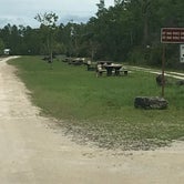 Review photo of Burns Lake Campground — Big Cypress National Preserve by Dave V., October 1, 2016