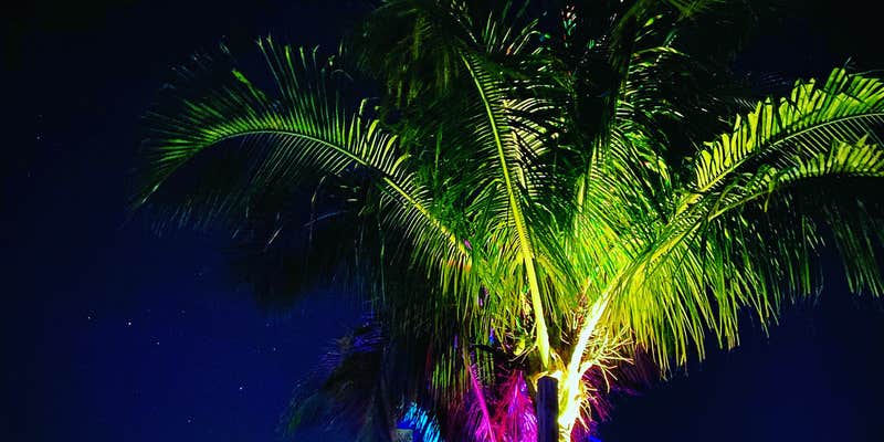 Camper submitted image from Jolly Roger RV Resort