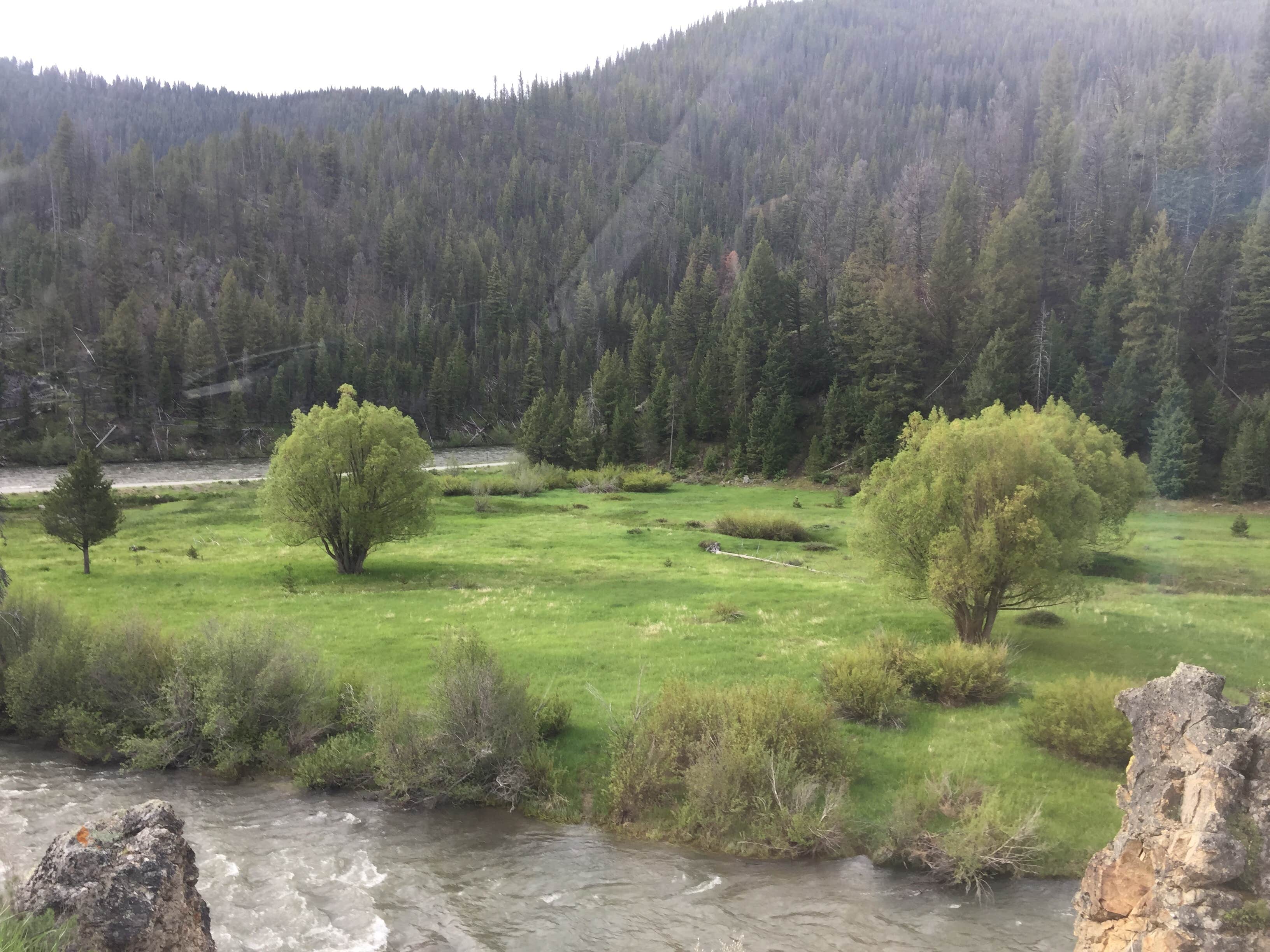 Camper-submitted photo at Basin Creek Transfer Camp Trailhead near Stanley, ID