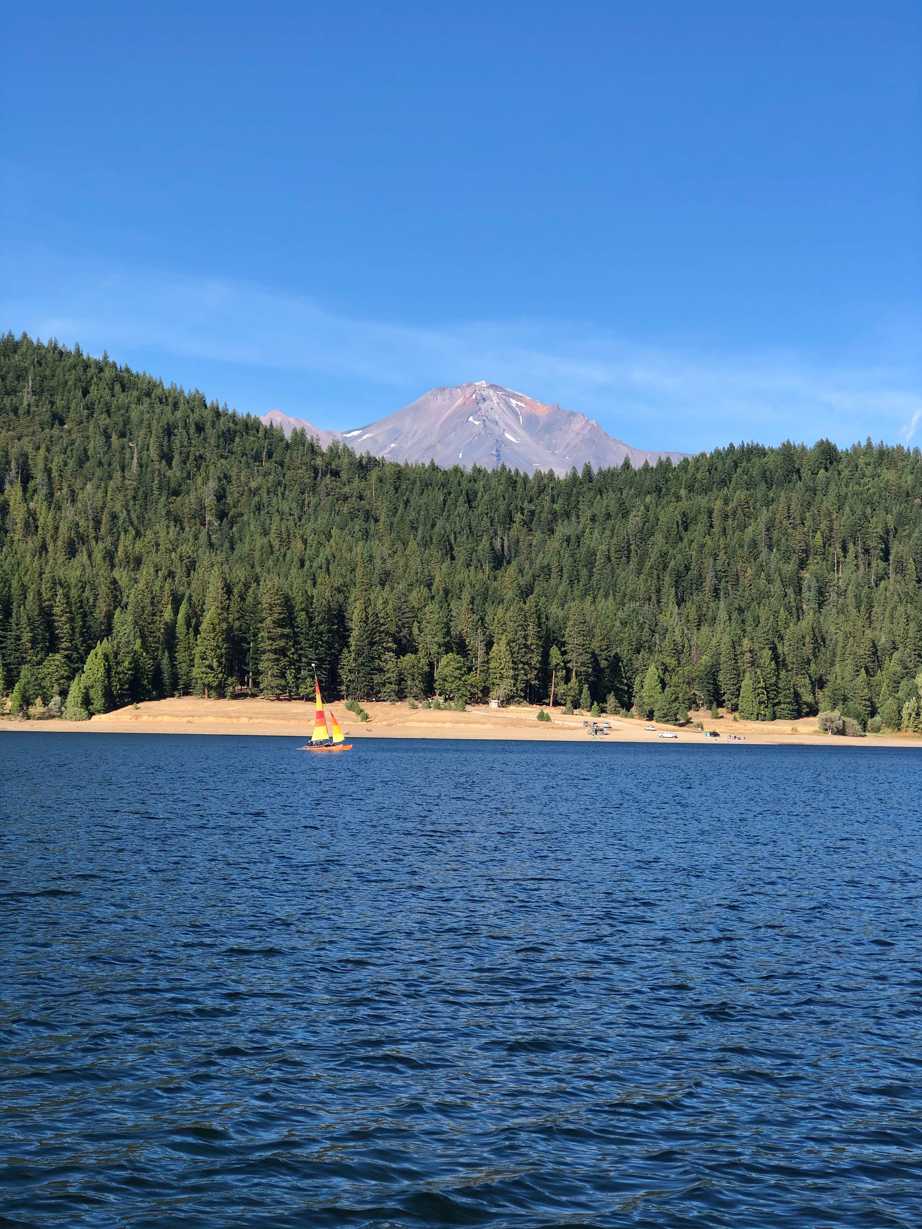Camper submitted image from Lake Siskiyou Camp Resort - 1