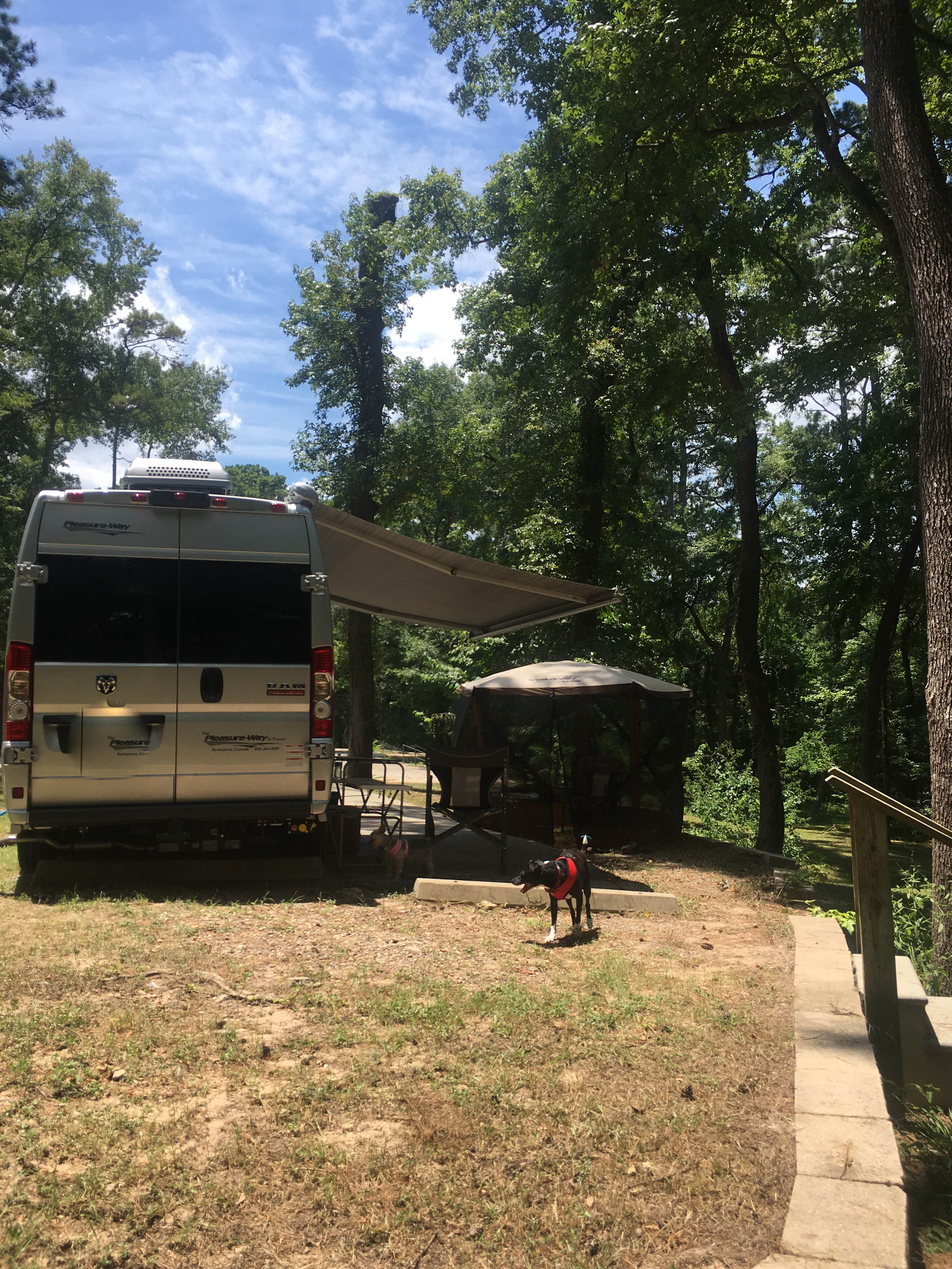 Debbie J.'s photo of tent camping at Huntsville State Park Campground near Splendora, TX