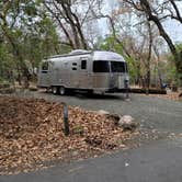 Review photo of Ritchey Creek Campground — Bothe-Napa Valley State Park by robert S., February 24, 2021