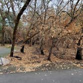 Review photo of Ritchey Creek Campground — Bothe-Napa Valley State Park by robert S., February 24, 2021