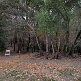Review photo of Ritchey Creek Campground — Bothe-Napa Valley State Park by robert S., February 24, 2021