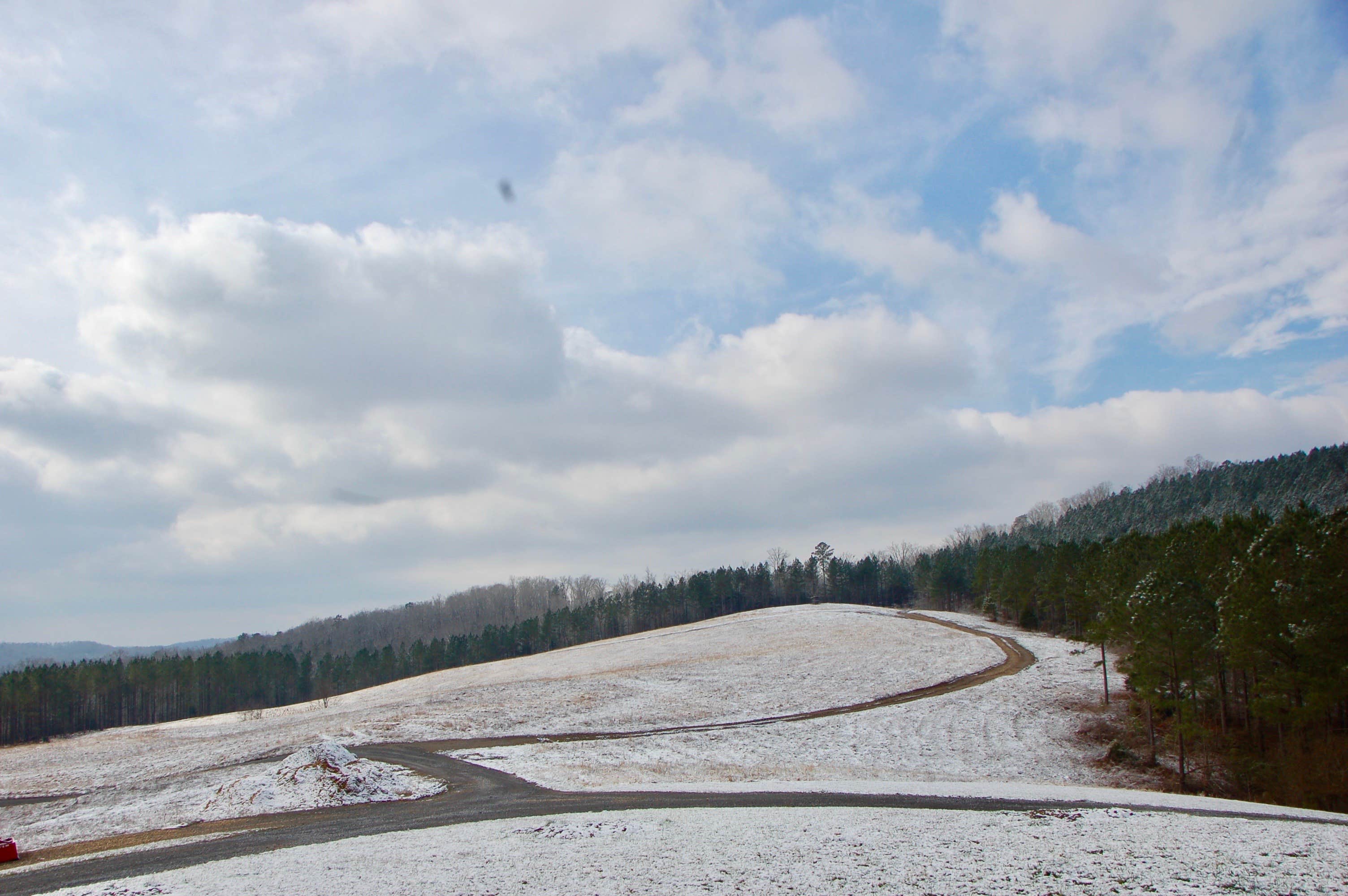 Camper submitted image from Eads Bluff Farm - 1