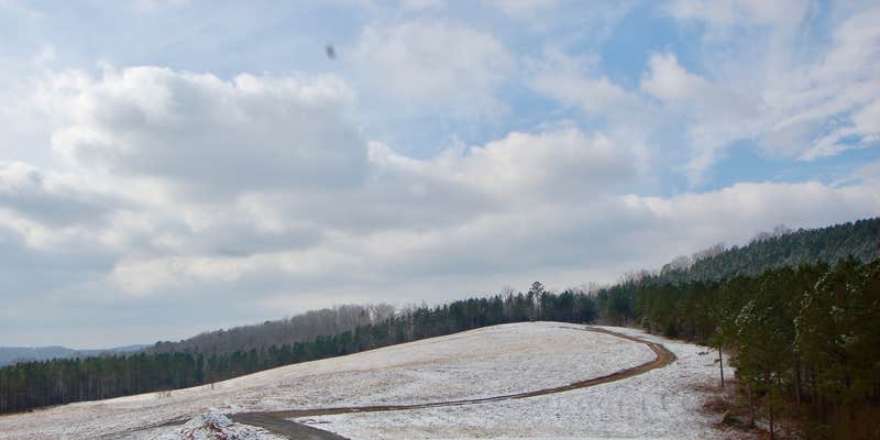 Camper submitted image from Eads Bluff Farm