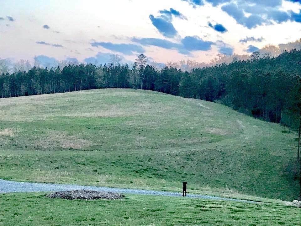 Camper-submitted photo at Eads Bluff Farm near Birchwood, TN